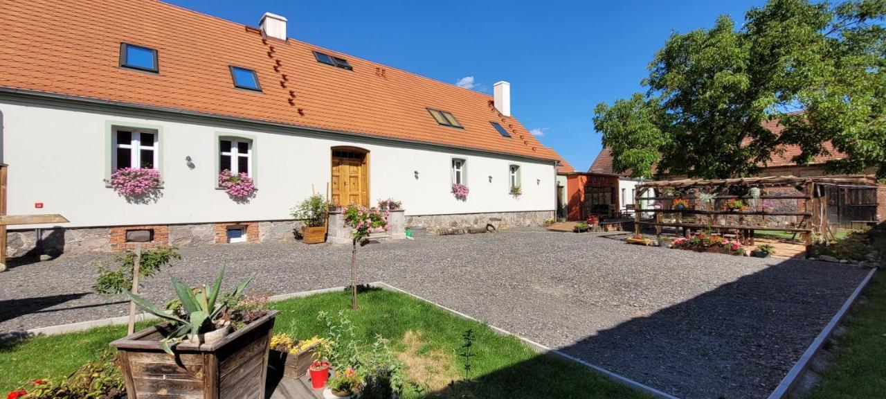 Skotopaska Skape Exterior foto